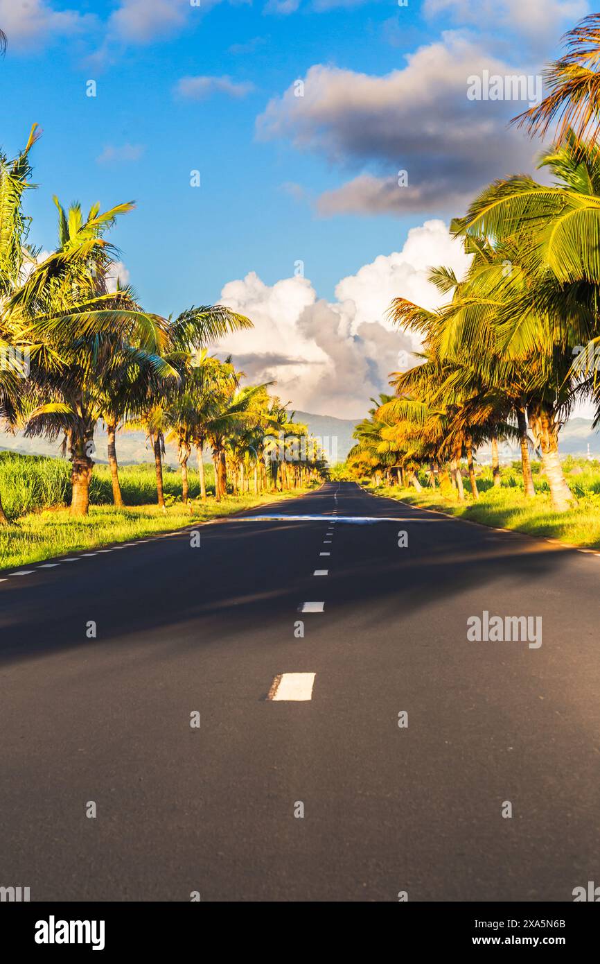 Die malerische Straße mit Palmen auf der Insel Mauritius bei Sonnenuntergang, Insel Mauritius, Afrika Stockfoto