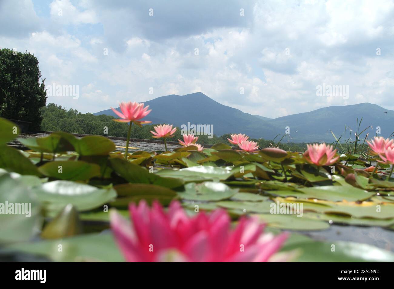 Bedford, VA, USA Blick auf den Reflexionspool im Claytor Nature Center, mit den Blue Ridge Mountains im Hintergrund. Stockfoto