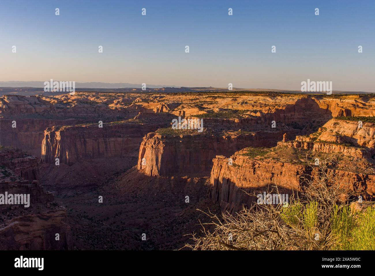 Licht und Schatten am oberen Taylor Canyon im Island im Sky District, Canyonlands National Park, Moab, Utah. Stockfoto