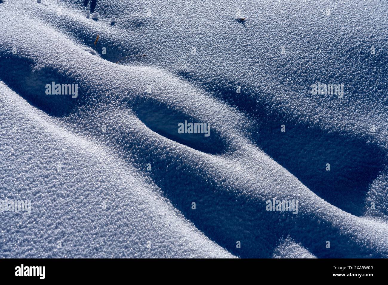 Muster im Schnee im Winter in den La Sal Mountains, Manti-La Sal National Forest, Moab, Utah. Stockfoto