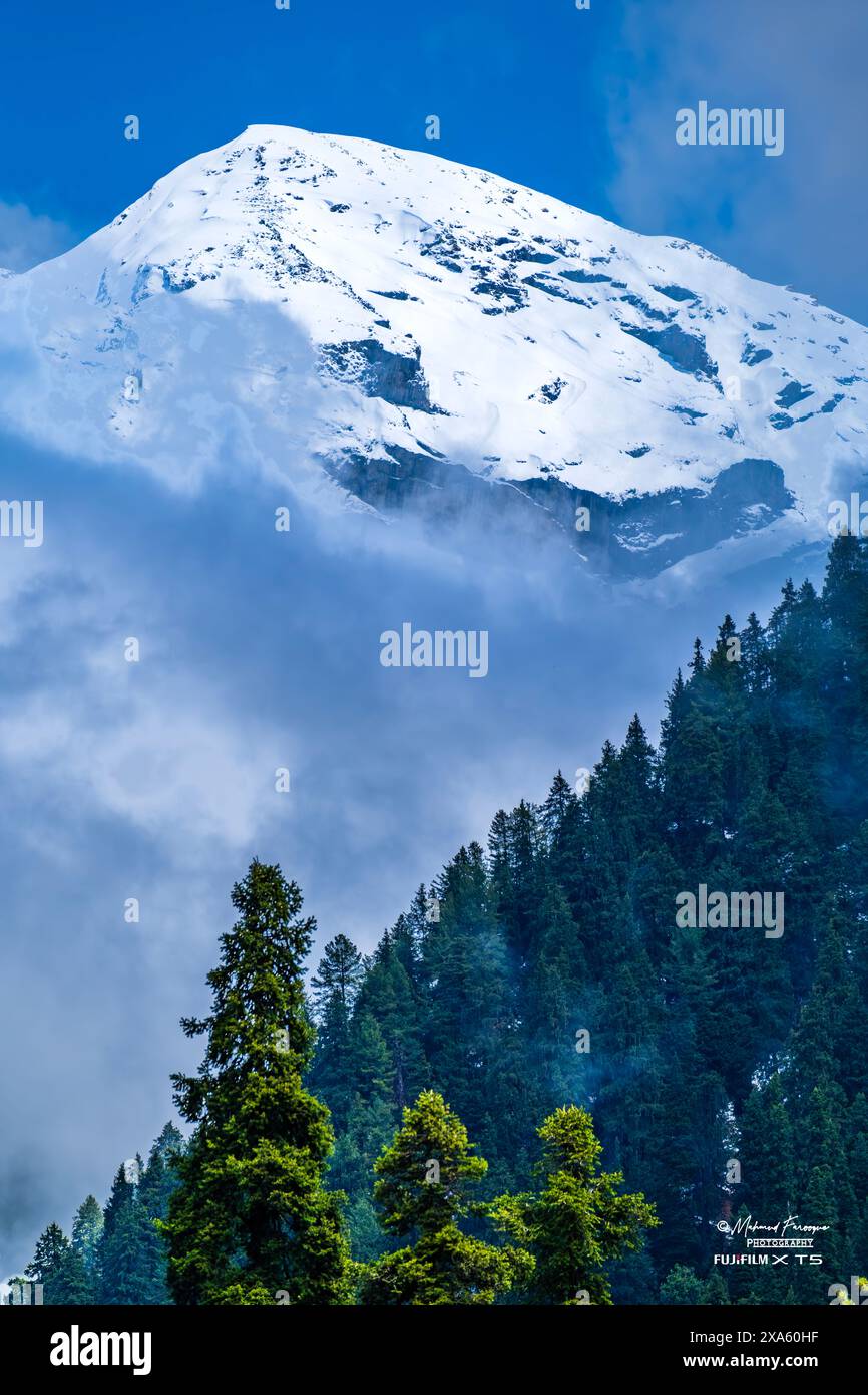 Schneebedeckte Berge, umhüllt von Wolken und Bäumen in der Nähe Stockfoto