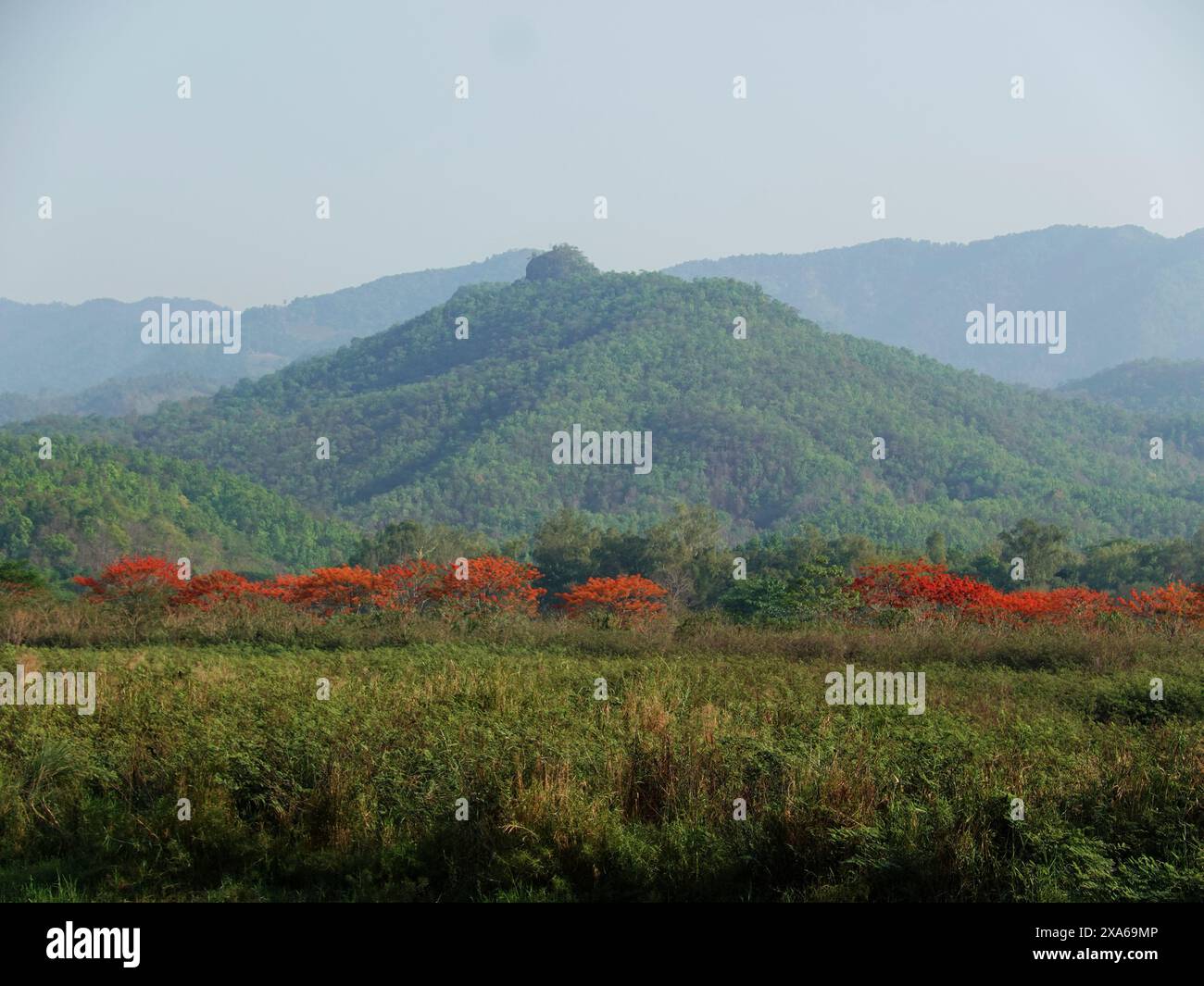 Der malerische Blick auf entfernte Bäume auf Hügeln in Thailand Stockfoto