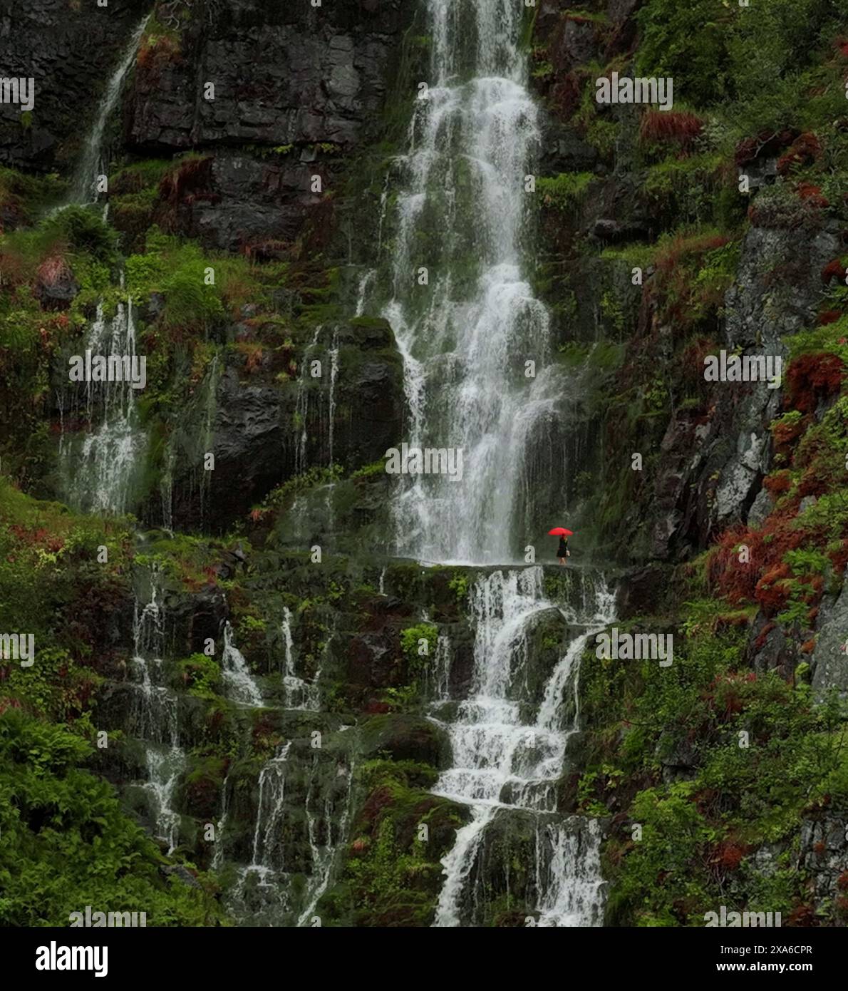 Ein Mann mit einem roten Schirm steht auf einer Brücke bei einem Wasserfall Stockfoto