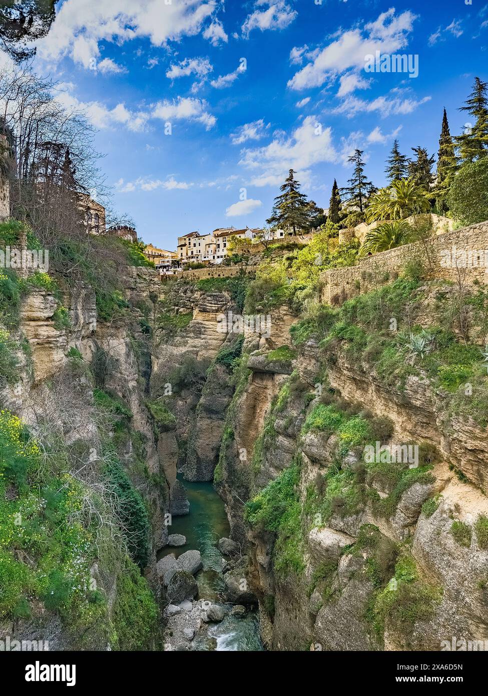Malerische Bergschlucht mit üppigem Baumwuchs in Andalusien Landschaft, Ronda, Spanien Stockfoto