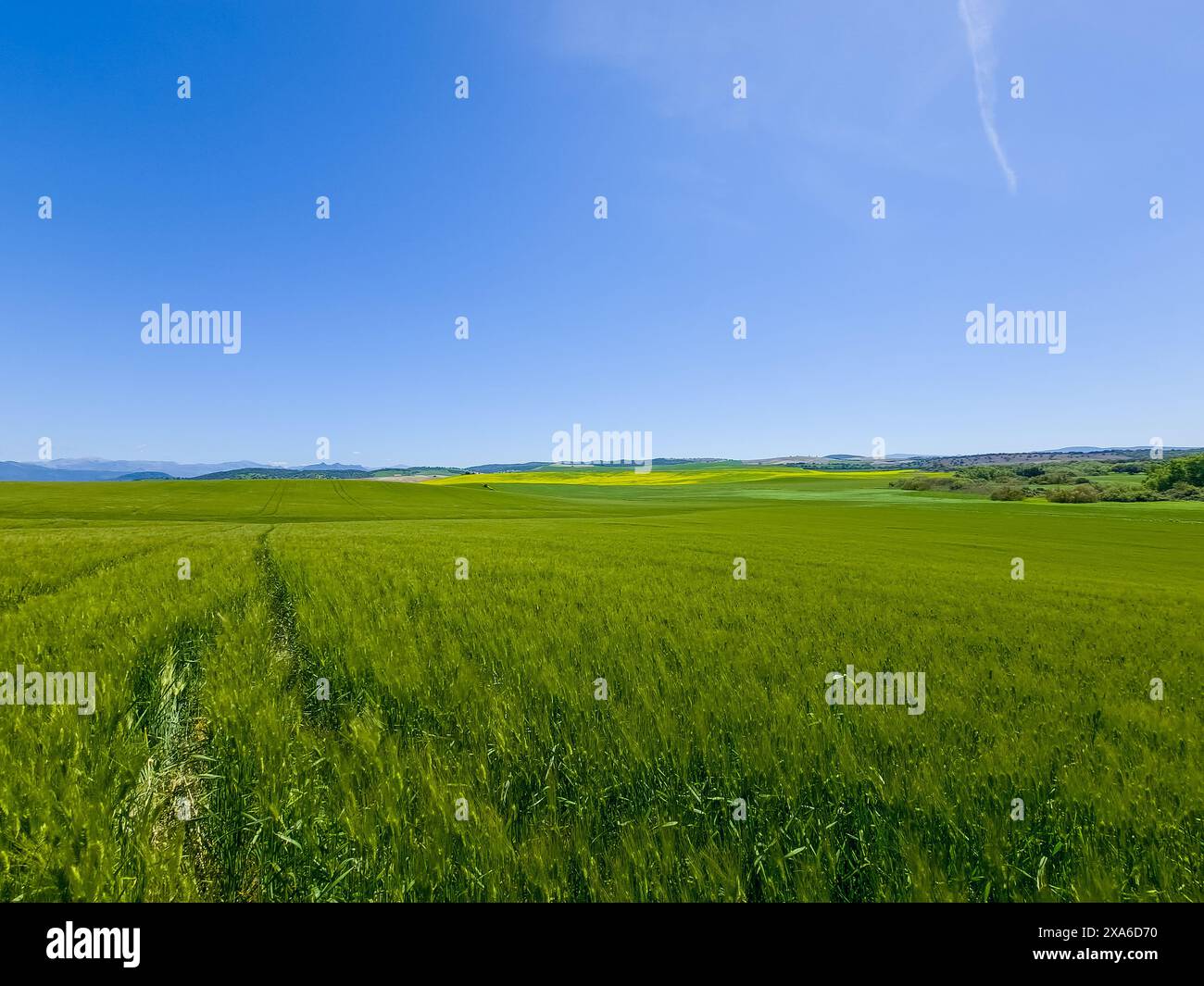 Die andalusische Landschaft im Frühling in Spanien Stockfoto