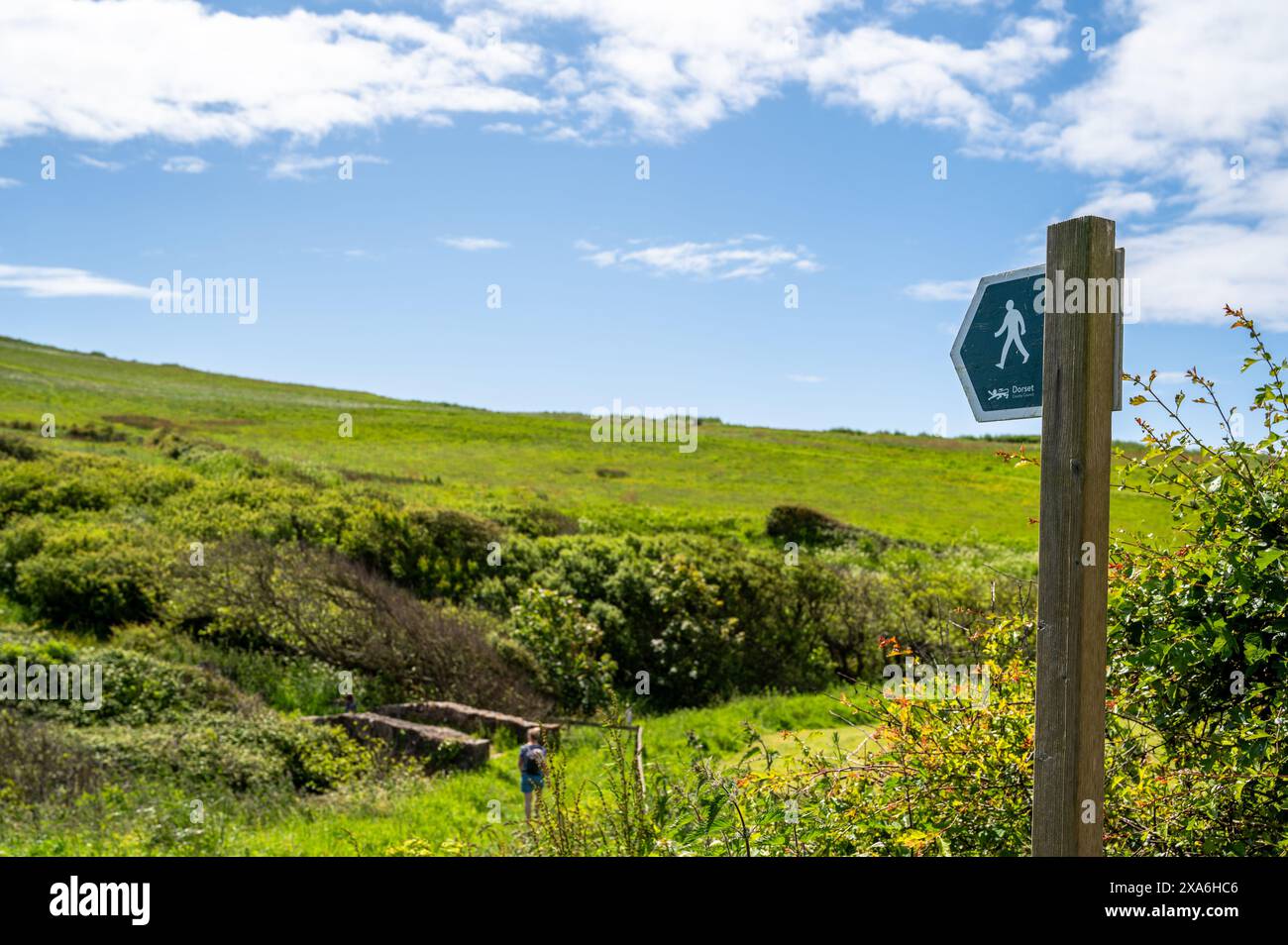 Schild für den öffentlichen Fußweg, das vom Dorset County Council in Bridport in England verwaltet wird Stockfoto