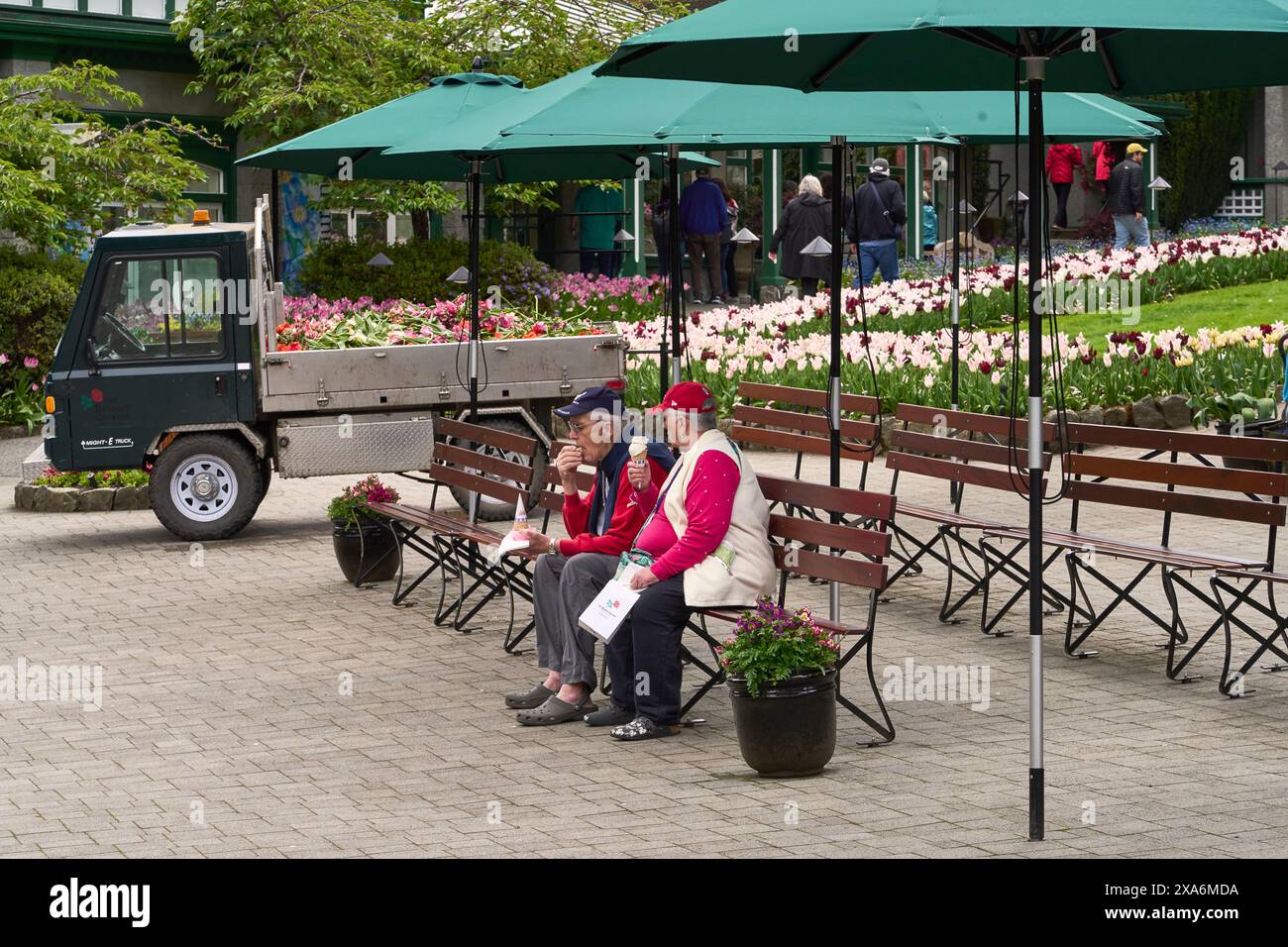 Ein älteres Paar isst Eiskegel in Butchart Gardens, Victoria, BC. Stockfoto