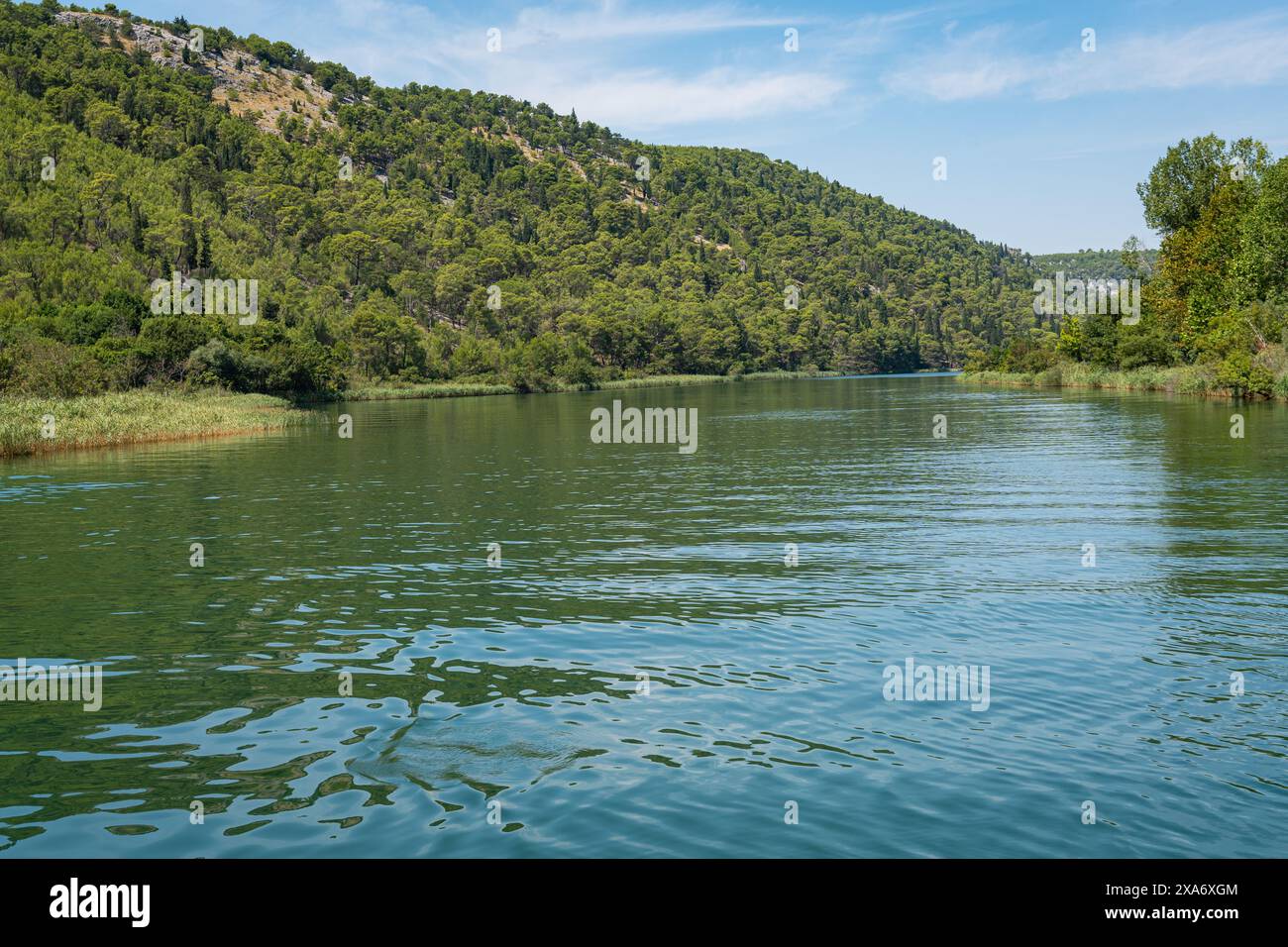 Der Krka-Fluss schlängelt sich anmutig durch einen lebendigen Wald im Krka-Nationalpark, Kroatien Stockfoto