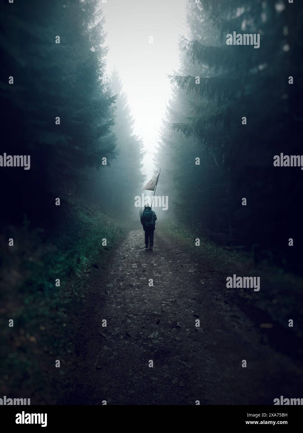 Ein Mann in einer schwarzen Jacke läuft auf einer Forststraße Stockfoto