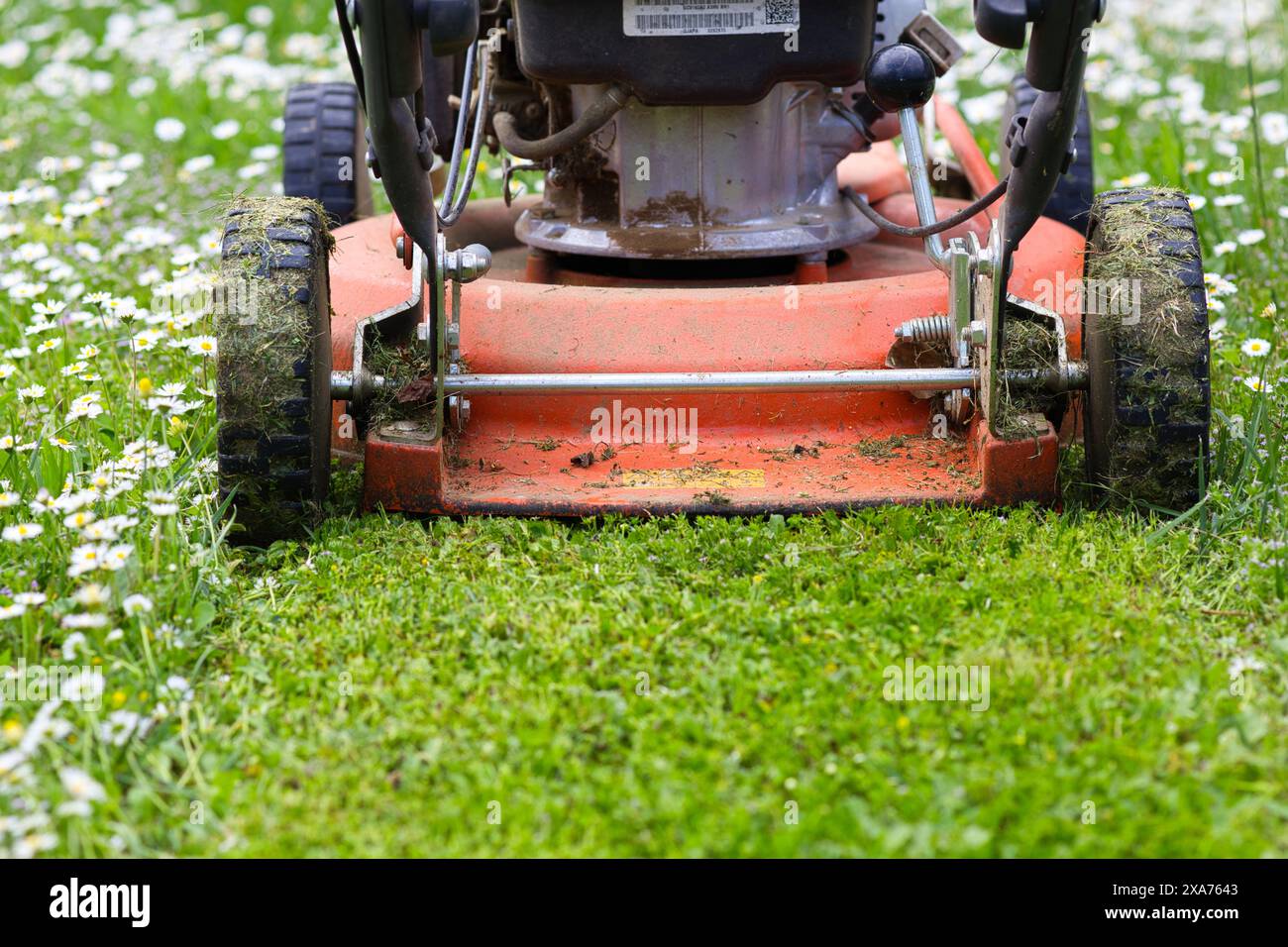 Hellorangefarbener Rasenmäher mit einer kleinen Menge geschnittenem Gras Stockfoto