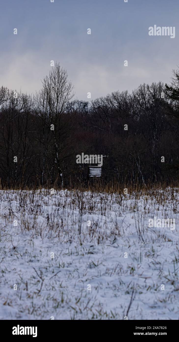 Schneebedecktes Feld mit Büschen im Vordergrund Stockfoto