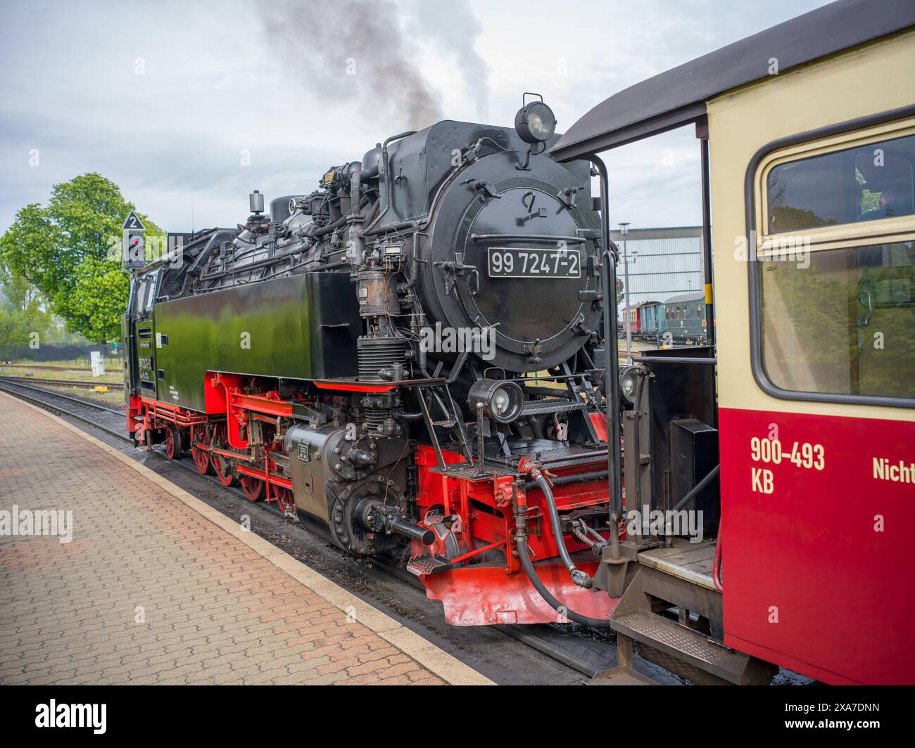 Dampflokomotive Brockenbahn, Wernigerode, Harz, Landkreis Harz, Sachsen-Anhalt, Deutschland, Europa Stockfoto