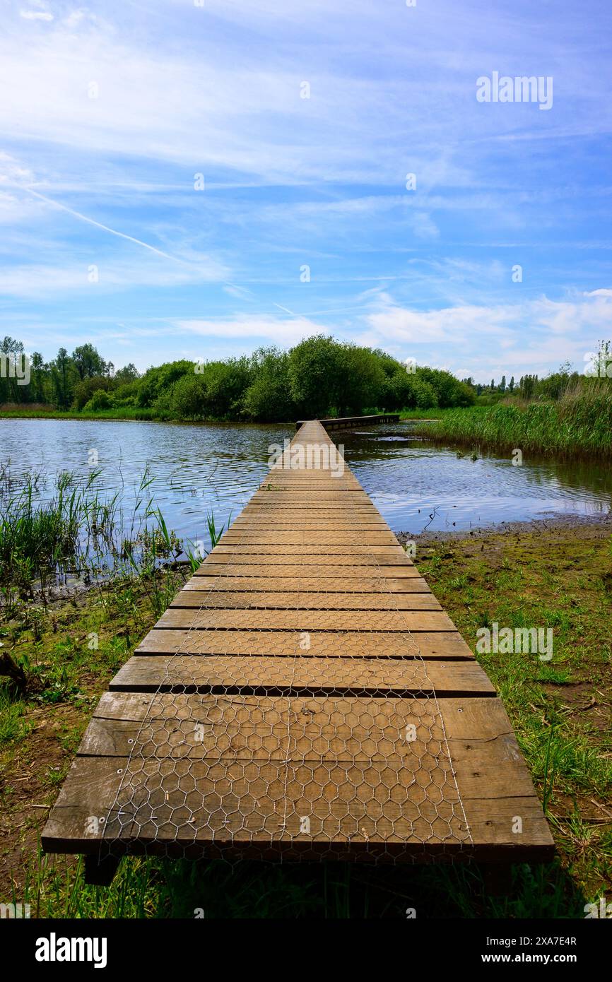 Ein vertikales Frühlingsfoto eines Waldsees mit einer Holzbrücke, die unter blauem Himmel das Wasser überquert Stockfoto