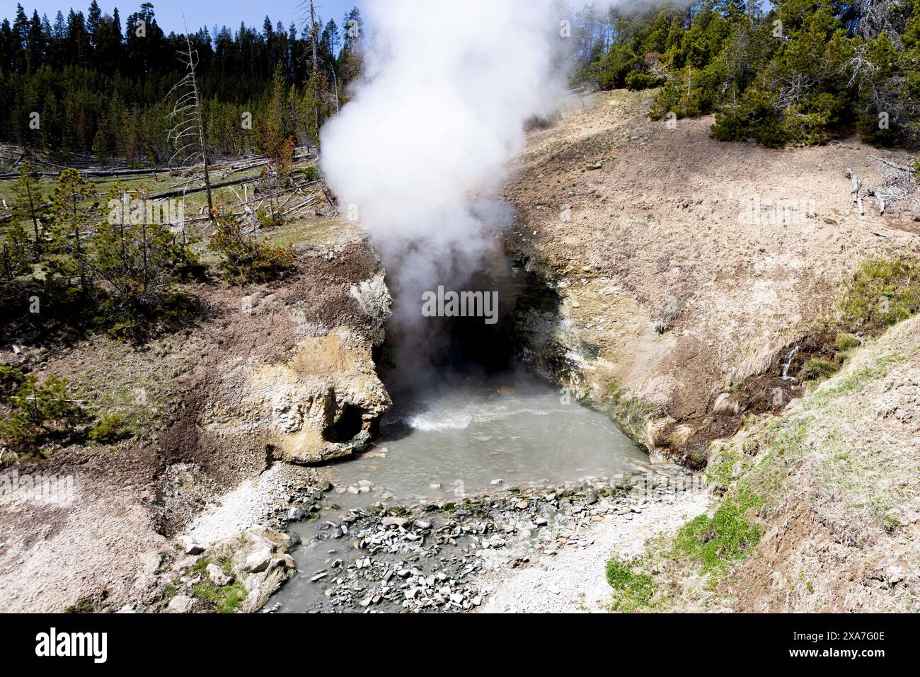 Ein wunderschöner Dampf, der aus dem Wasser in der Wildnis steigt Stockfoto