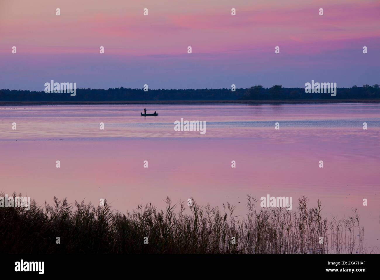 Fischerboot, Abendlicht, Barther Bodden, Nationalpark Vorpommersche Lagune, Mecklenburg-Vorpommern, Deutschland Stockfoto