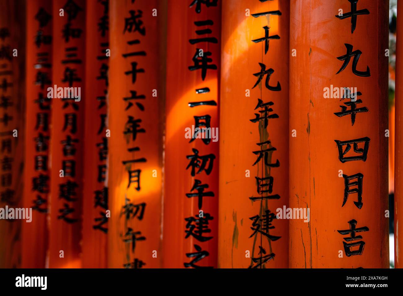 Der Torii-Tor-Tunnel ragt am Fushimi-Inari-Schrein in Kyoto, Japan. Orange- und Schwarzbalken mit traditionellen japanischen Schriftzeichen. Stockfoto