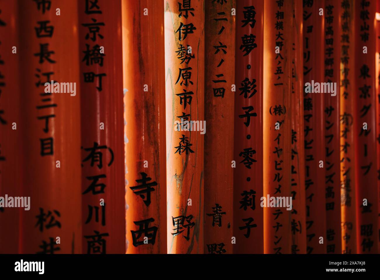 Der Torii-Tor-Tunnel ragt am Fushimi-Inari-Schrein in Kyoto, Japan. Orange- und Schwarzbalken mit traditionellen japanischen Schriftzeichen. Stockfoto