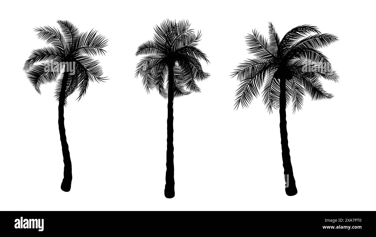 Silhouette der Kokospalme mit isoliertem weißen Hintergrund Vektor-Illustration Stock Vektor