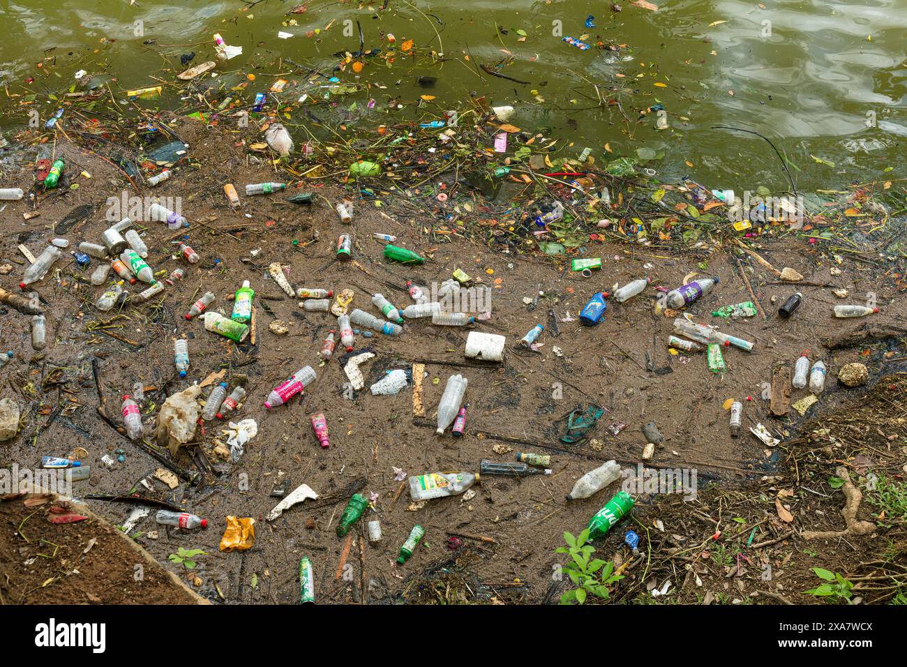 Plastikmüll, der an einer Küste aufgespült wurde. Stockfoto