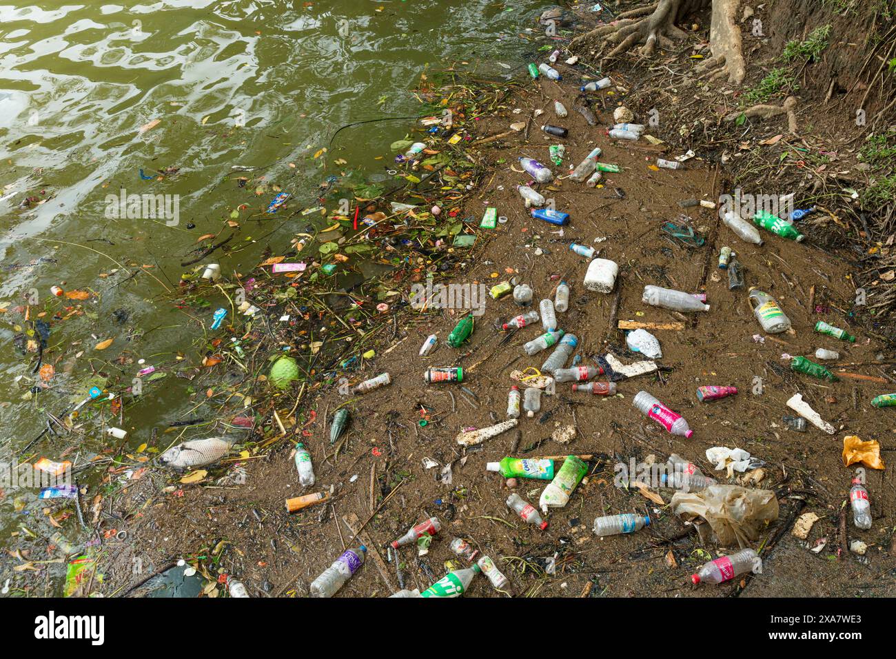 Plastikmüll, der an einer Küste aufgespült wurde. Stockfoto