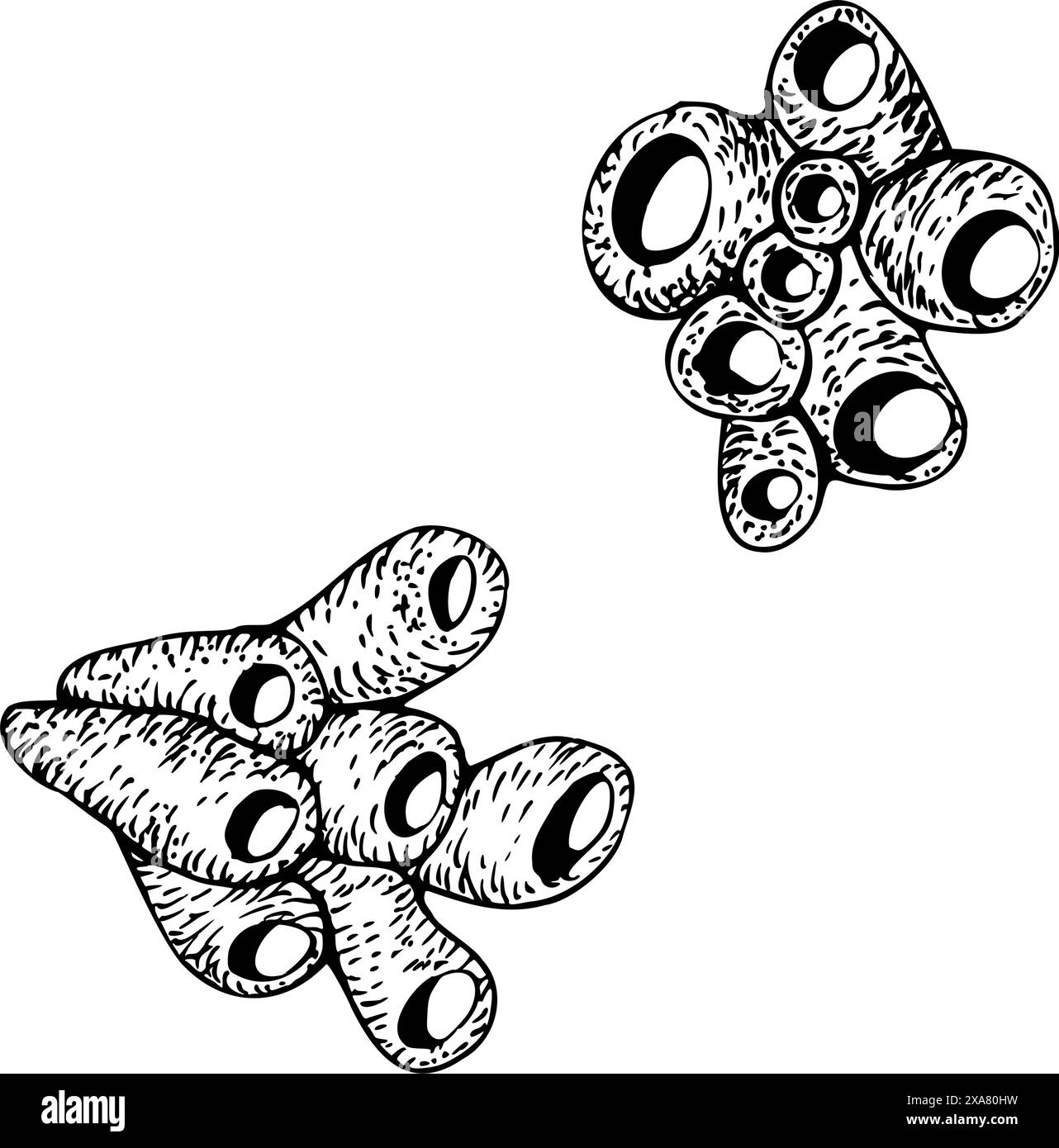 Ein Set von Röhrenschwämmen, Korallen. Unterwasservektorillustration isoliert auf weißem Hintergrund. Handgezeichneter grafischer Schwarzweiß-Skizzenstil. Für Clip Stock Vektor