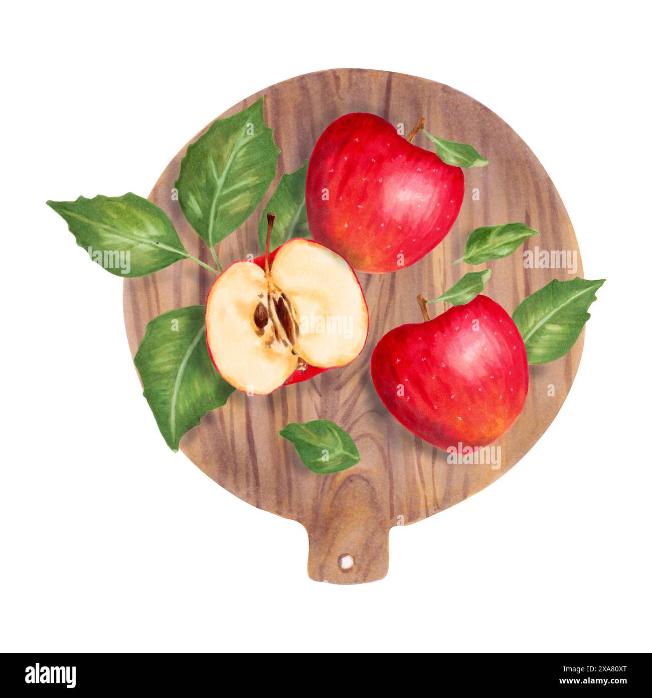 Rote Äpfel liegen auf einem hölzernen runden Schneidebrett. Gesunde ganze Früchte und Scheiben mit Blättern und Küchenutensilien. Aquarellabbildung. Handgezeichnet ist Stockfoto