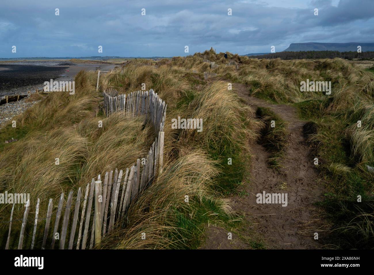 Ein Blick auf die Sanddünen am Strandhill mit Ben Bulben in der Ferne. Sligo, Irland Stockfoto