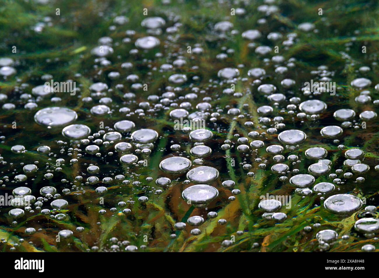 Im Eis eingeschlossenen Luftbläschen Stockfoto