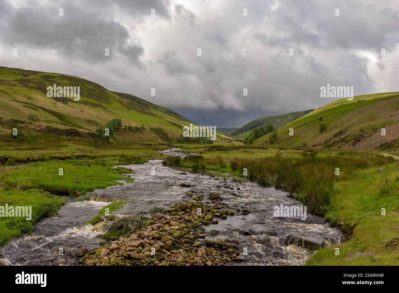 Der Langden Brook schlängelt sich durch die hügelige Landschaft an einem bewölkten Tag in Lancashire. Stockfoto