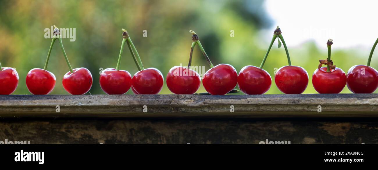 Rote Kirschen mit Schwänzen, verschwommener Hintergrund Stockfoto