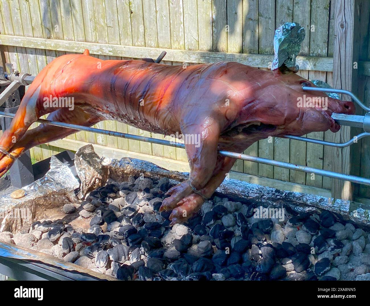 Ein ganzes Schwein auf einem Rotisserie, das an einem sonnigen Tag über heißen Kohlen röstet. Stockfoto