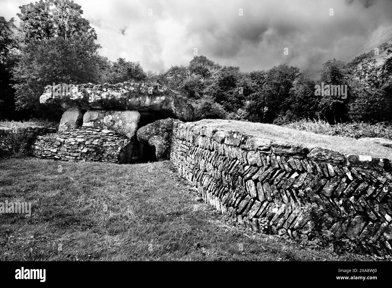 Die Tinkinswood Burial Chamber im Vale of Glamorgan ist eine neolithische Dolmen/Grabkammer mit einem der größten Decksteine Großbritanniens. Stockfoto