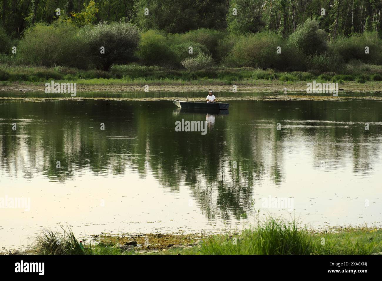 Mann fischt vom Boot auf der Donau, Backo-Novo-Selo, Vojvodina, Serbien Stockfoto