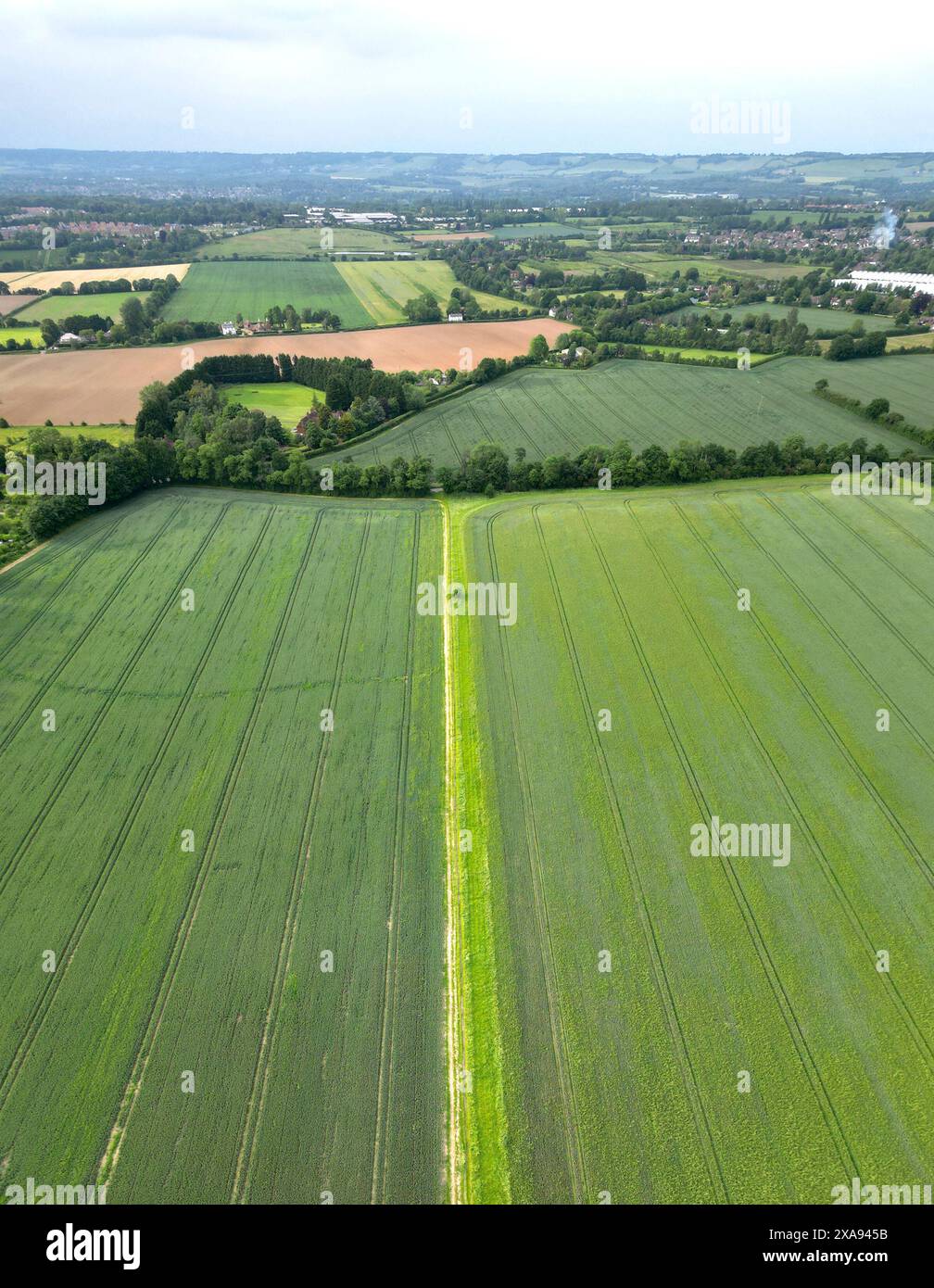 Aus der Vogelperspektive auf Ackerland in der Nähe des Dorfes Chart Suttuon, Kent, Großbritannien. Anfang Juni Stockfoto