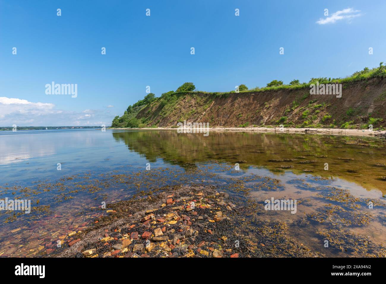 Uferlinie mit Ziegelsteinen der alten Ziegelwerke, Halbinsel Holnis am Flensburger Fjord, steile Klippe, Glücksburg, Schleswig-Holstein, Norddeutschland Stockfoto
