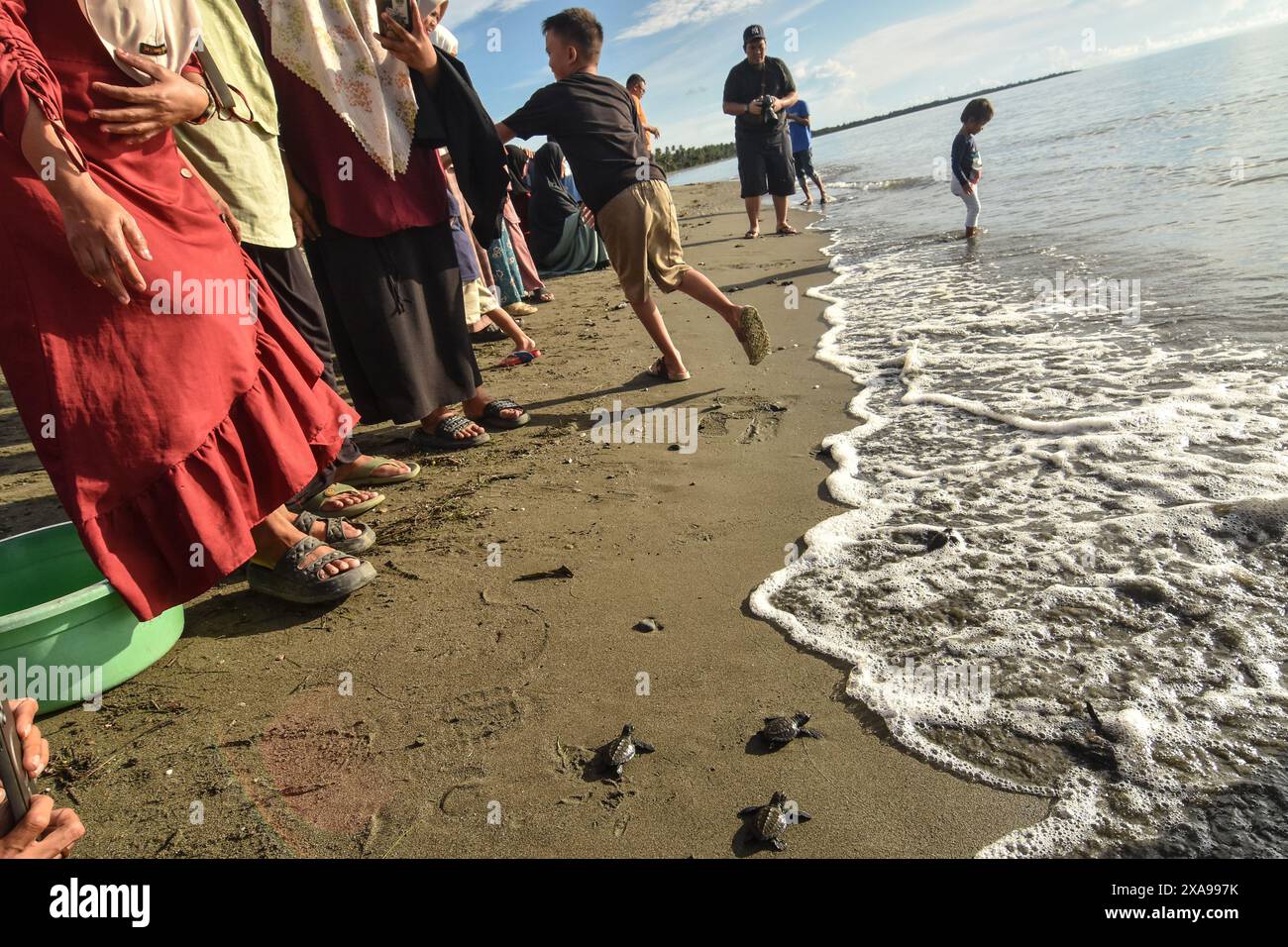 Donggala, Zentral-Sulawesi, Indonesien. Juni 2024. Im Zusammenhang mit dem Weltumwelttag und der Erhaltung seines gefährdeten Lebensraums haben eine Reihe von Einwohnern 112 Karettschildkröten-Schlüpflinge oder Eretmochelys imbricata an der Küste des South Banawa Subdistrikts, Donggala Regency, Central Sulawesi, Indonesien am Mittwoch veröffentlicht (Foto: © Adi Pranata/ZUMA Press Wire). Nicht für kommerzielle ZWECKE! Quelle: ZUMA Press, Inc./Alamy Live News Stockfoto