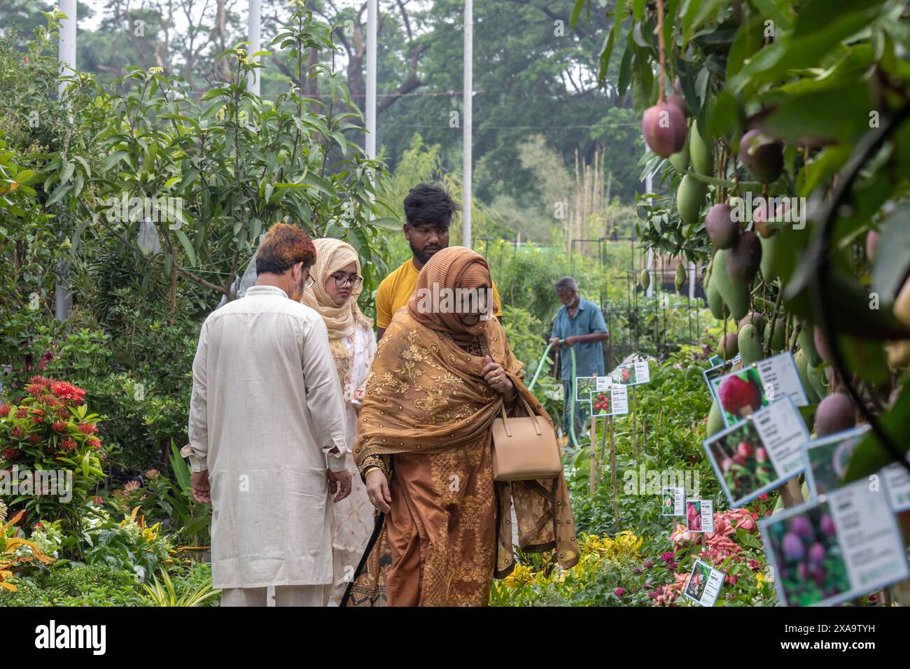 Dhaka, Bangladesch. Juni 2024. Besucher sahen Pflanzen, Bäume und Setzlinge während der monatelangen nationalen Baummesse in Bangladesch im Sher-e-Bangla Nagar. Eine monatelange Baummesse mit dem Titel "National Tree Fair" begann. (Foto: Sazzad Hossain/SOPA Images/SIPA USA) Credit: SIPA US/Alamy Live News Stockfoto