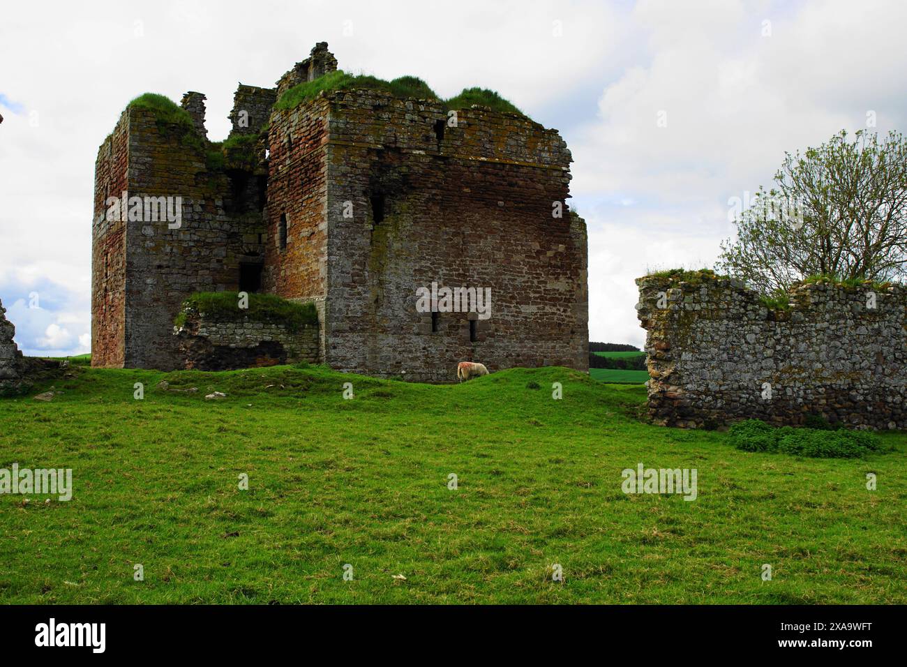 Die Ruinen von Cessford Castle zwischen Jedburgh und Kelso an der schottischen Grenze. Es war eine Festung der Familie Ker, die 1650 aufgegeben wurde. Stockfoto