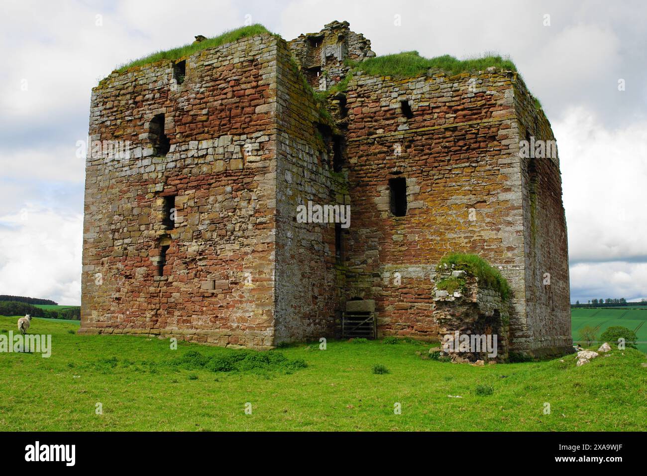 Die Ruinen von Cessford Castle zwischen Jedburgh und Kelso an der schottischen Grenze. Es war eine Festung der Familie Ker, die 1650 aufgegeben wurde. Stockfoto