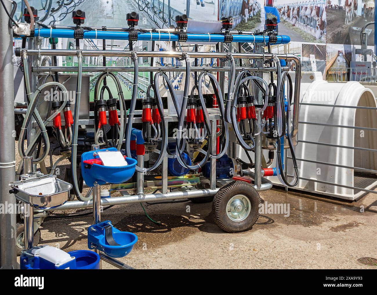 Moderne industrielle mobile Melkmaschine, die in landwirtschaftlichen Betrieben eingesetzt wird Stockfoto