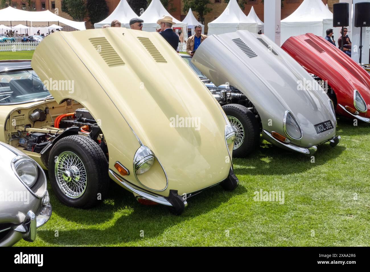 Jaguar E-Typen beim London Concours 2024 bei der ehrenwerten Artilleriekompanie City of London UK Stockfoto