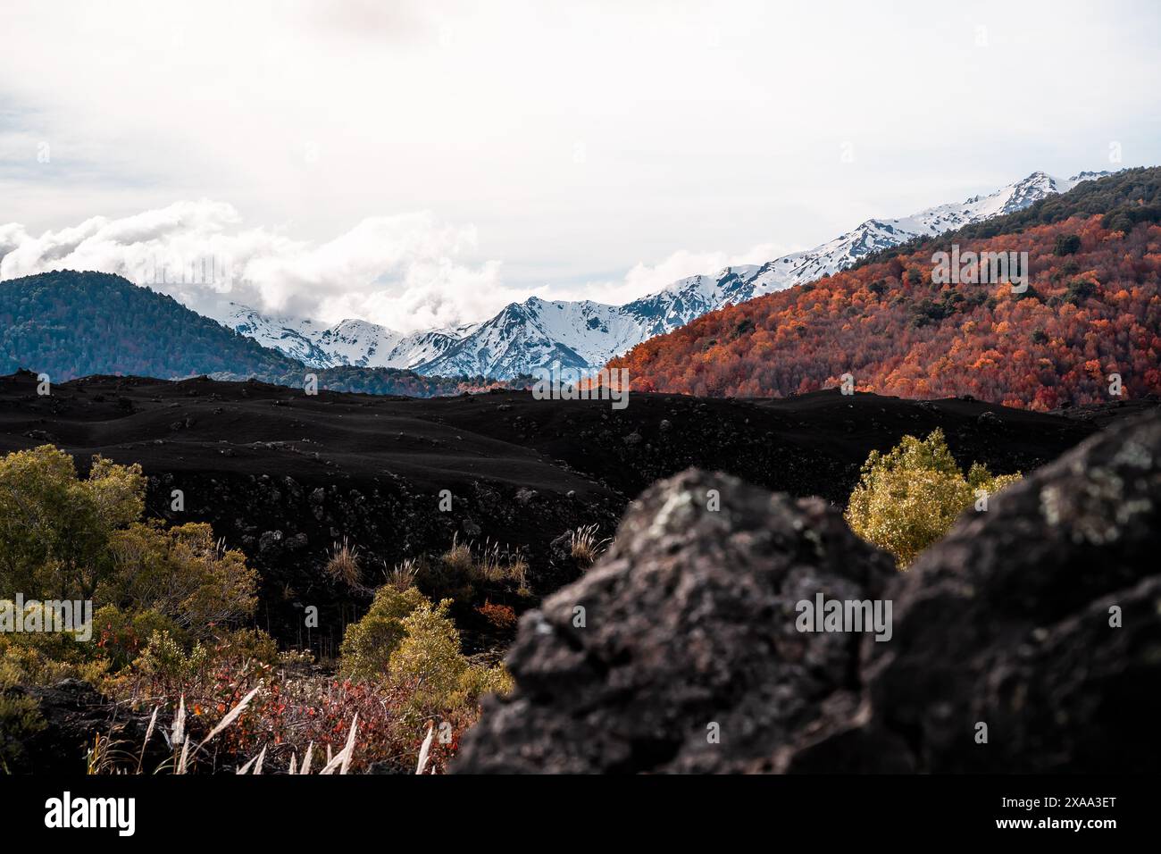 Die schwarzen Felsen auf dem Lavafeld mit Bergen und einem bewölkten Himmel im Hintergrund. Stockfoto