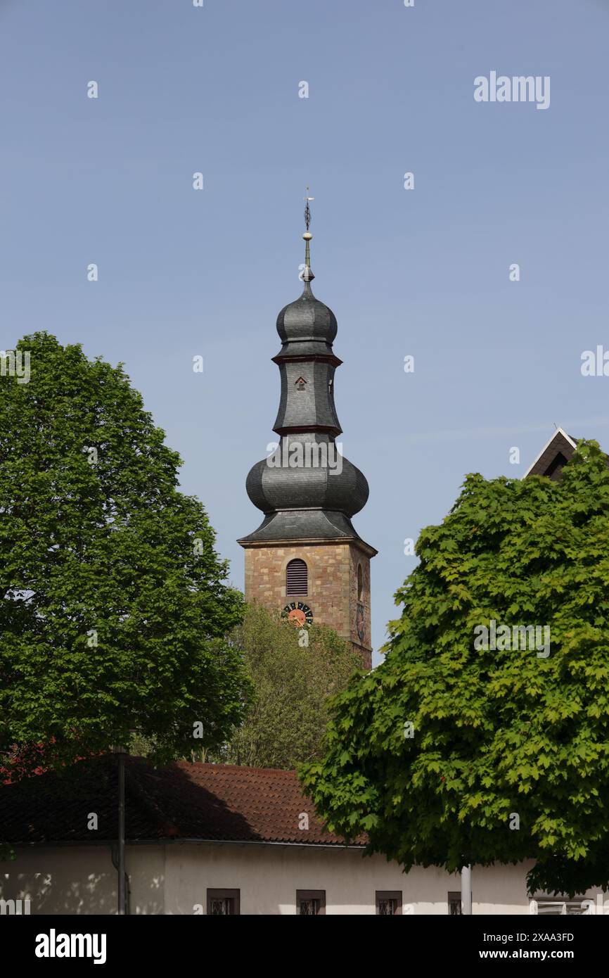 Turm der Marktkirche in Bad Bergzabern durch Zweige fotografiert Stockfoto