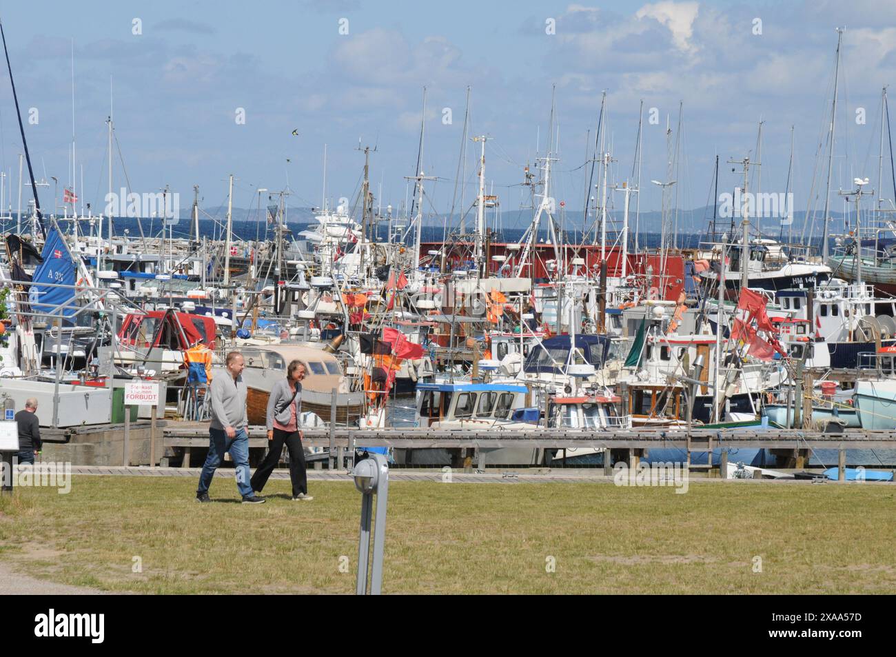 Gilleleje Habour/Gilleleje havn/Denmark/05 JUNI 2024/die Menschen feiern heute am 5. juni 20024 den dänischen Konsignationstag und die offiziellen Feiertage die Bewohner des gilleleje Habour mit Essen und BesichtigungGenießen Sie den Blick auf den Hafen im nördlichen Teil der dänischen Küste. (Foto. Francis Joseph Dean/Dean Pictures) (nicht für kommerzielle Zwecke) Stockfoto