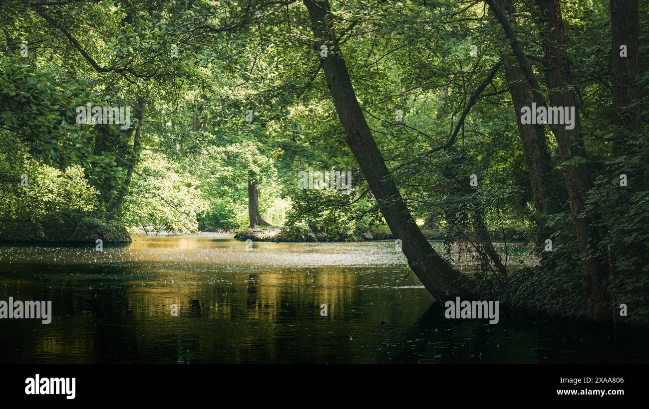 Ein Wald mit Bäumen, die das Wasser auf beiden Seiten flankieren. Stockfoto