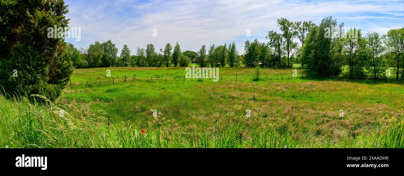 Ein Panoramablick auf die üppig grüne belgische Landschaft im Frühling mit Bäumen und blauem Himmel Stockfoto