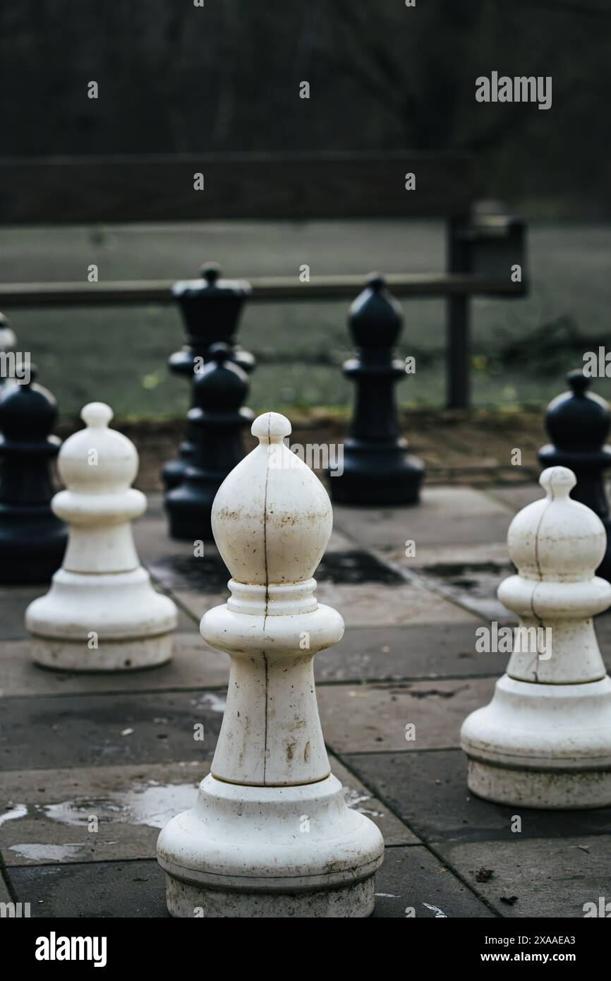 Die Schachfiguren auf dem Parkboden, strategisches Spiel draußen Stockfoto