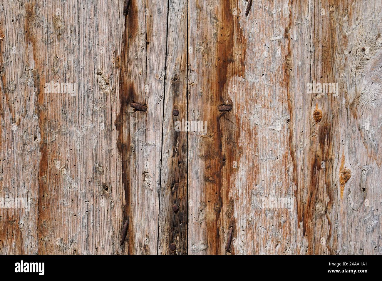 Die Textur einer verschlechterten Holztür mit rostigen Nägeln Stockfoto