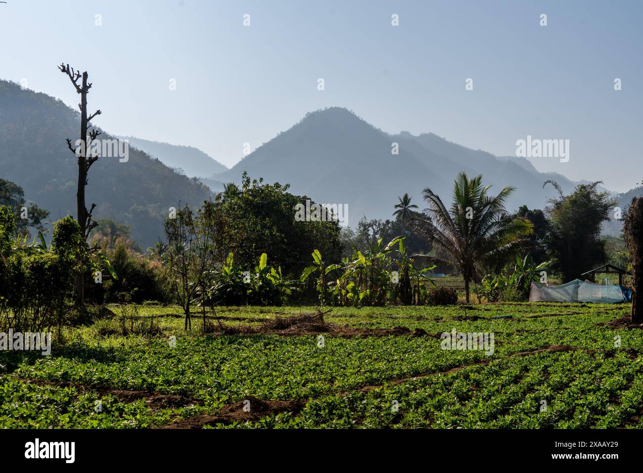 Berglandschaft in der Provinz Mae Hong Son, Thailand, Südostasien, Asien Stockfoto