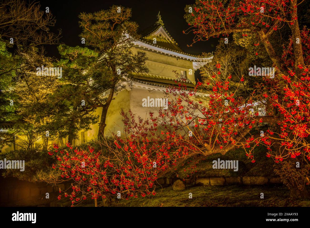 Nächtlich beleuchteter Kyoto Kaiserpalast während der Kirschblüte, Kyoto, Honshu, Japan, Asien Stockfoto